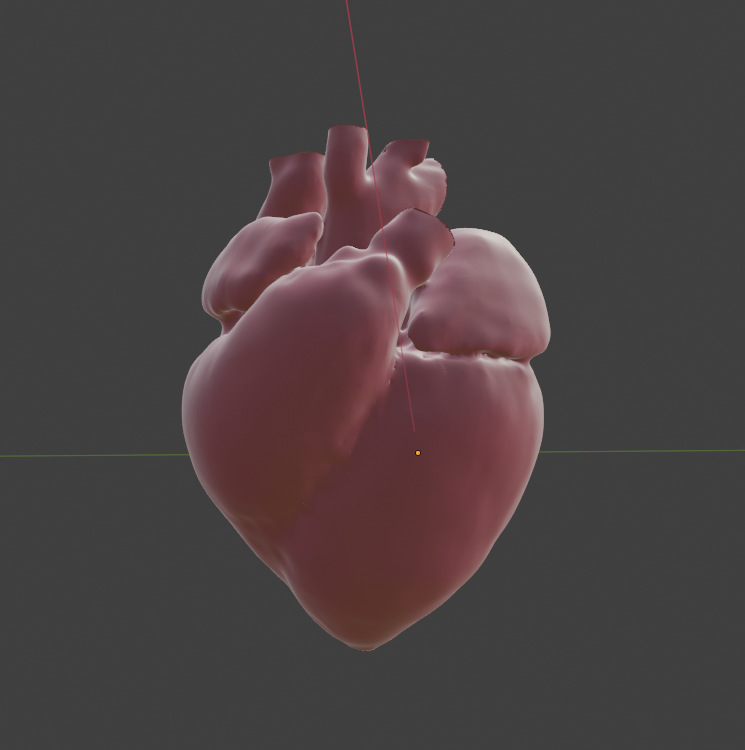 CARDIAC NEXUS